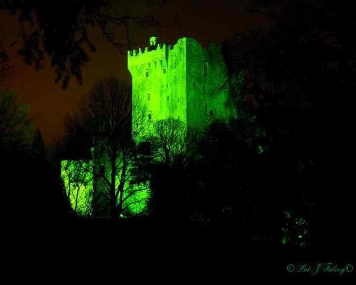 Blarney Castle Hotel מראה חיצוני תמונה